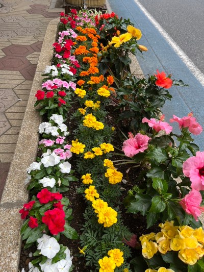 Image 20230711 114725 891 - 準備着々