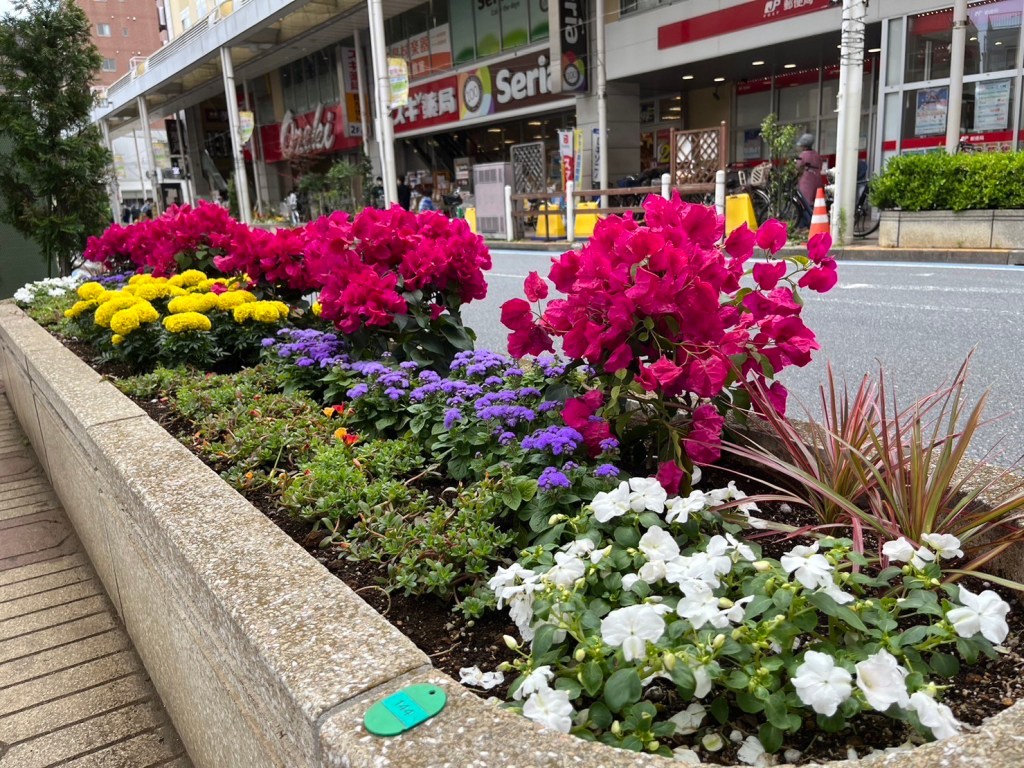 Image 20230711 114725 999 - 準備着々